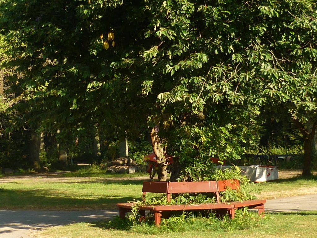 Ferienwohnung Ferienbauernhof Ennenhof Schneverdingen Exterior foto